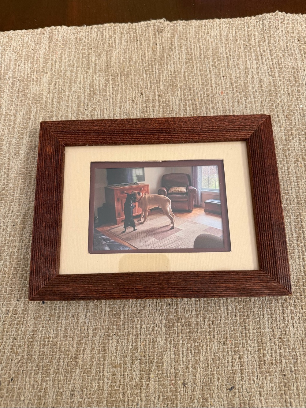 Wood Framed Print Dogs
